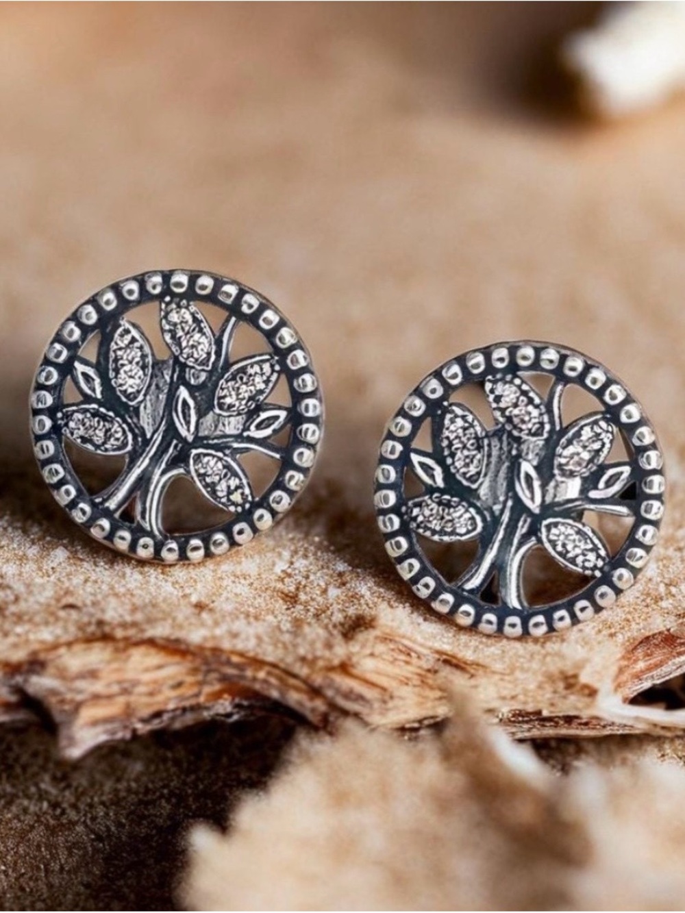 Pandora Sparkling Family Earrings Silver View 2